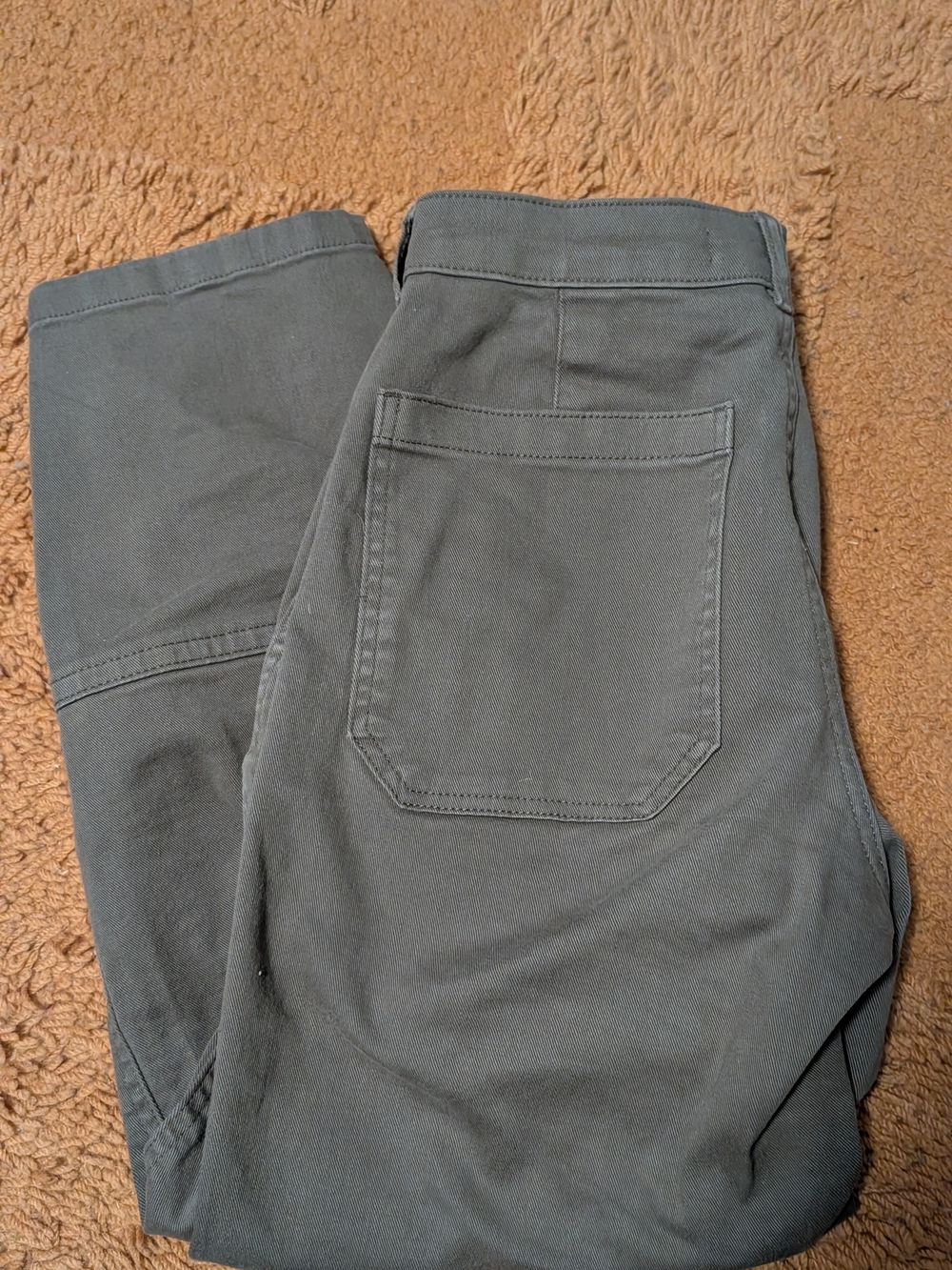 Everlane Utility Barrel Pant In Kalamata